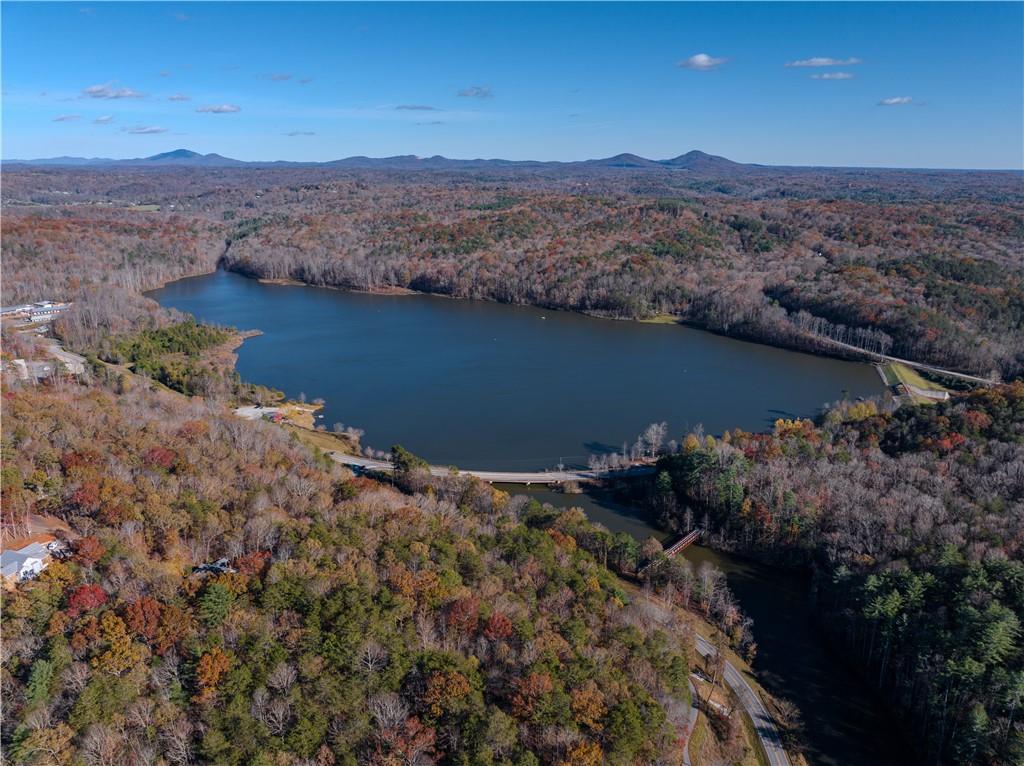 Timberlane Drive, Dahlonega, Georgia image 6