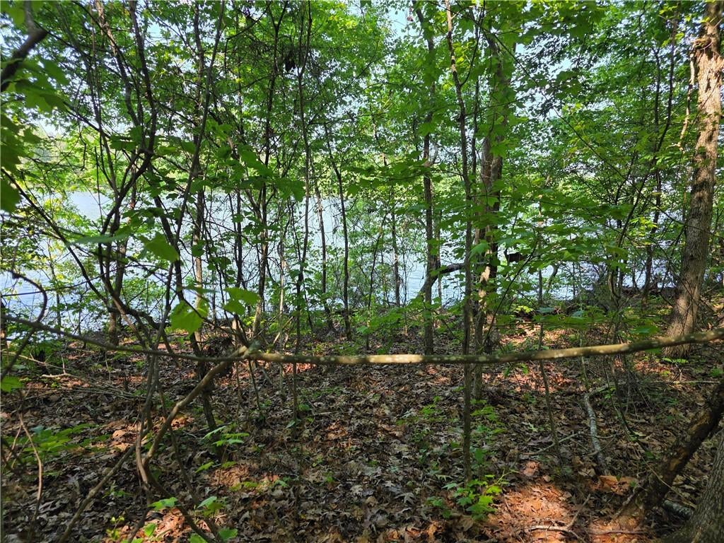 115 Cornish Trace Drive
