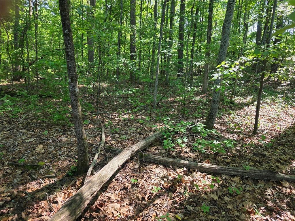 115 Cornish Trace Drive