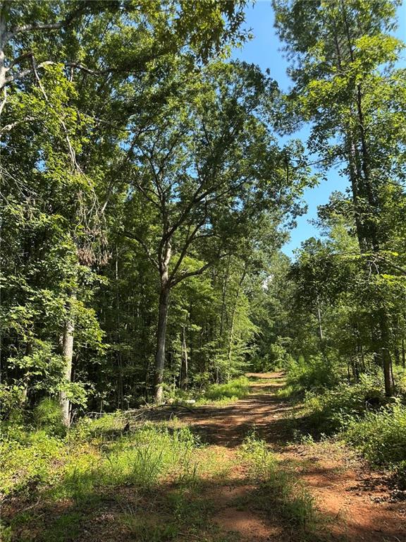 Photo 1 of 35 — 00 Fears Road, Madison, GA 30650