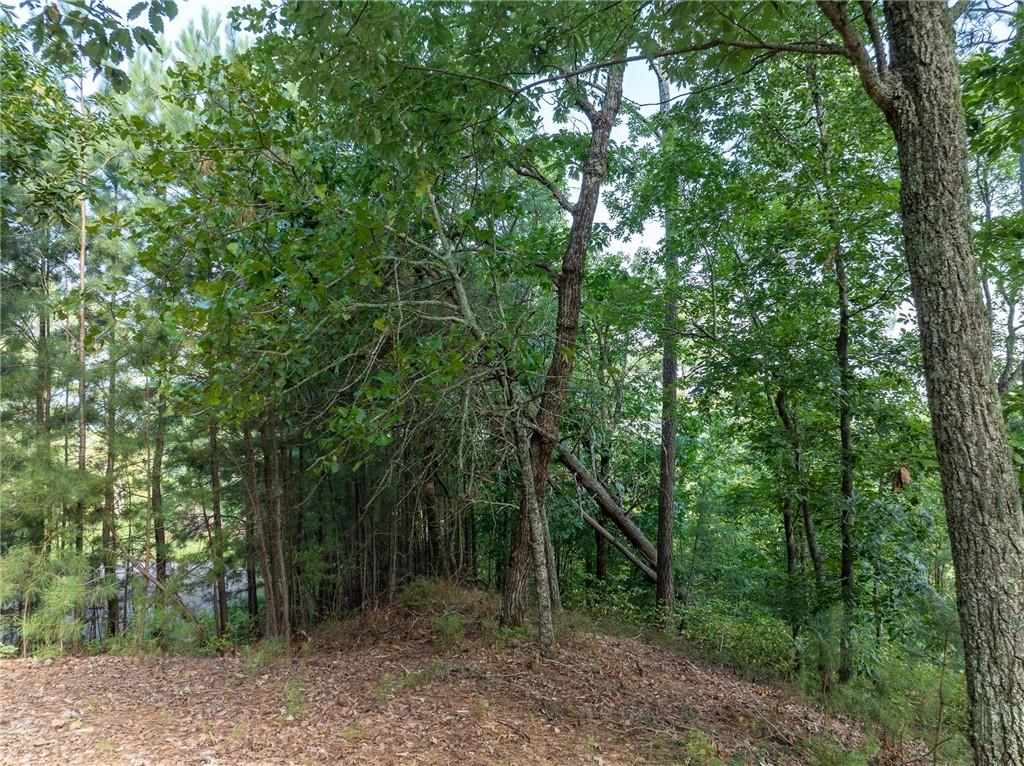 Baldview Terrace, Blairsville, Georgia image 8