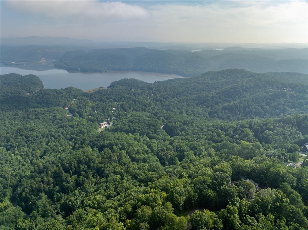 Baldview Terrace, Blairsville, Georgia image 18