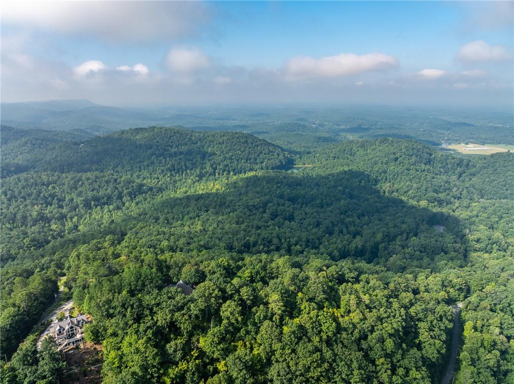 Baldview Terrace, Blairsville, Georgia image 21