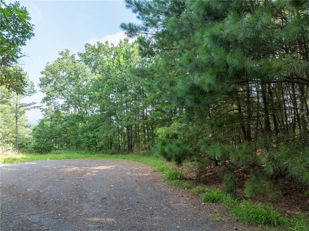 Baldview Terrace, Blairsville, Georgia image 14