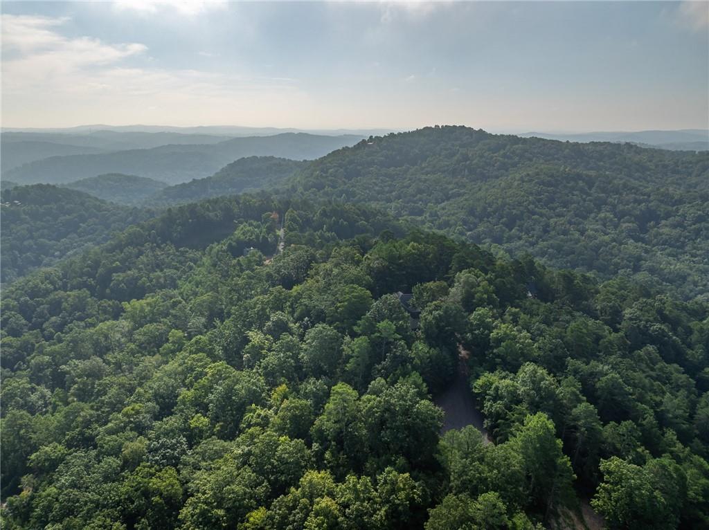 Baldview Terrace, Blairsville, Georgia image 22