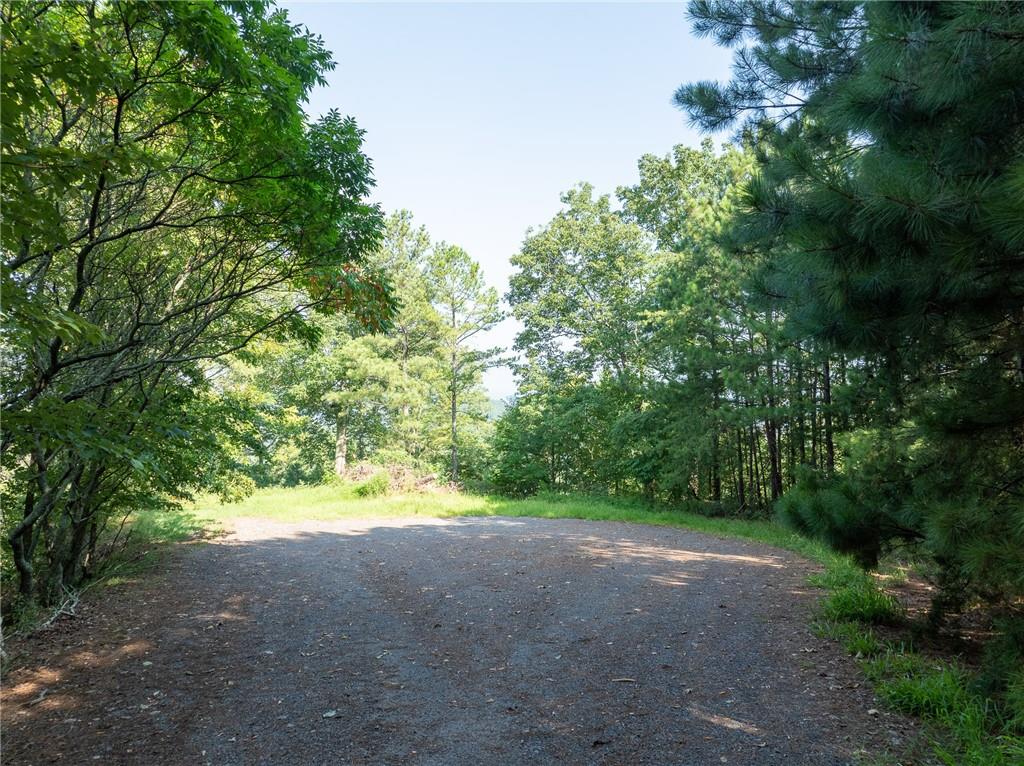 Baldview Terrace, Blairsville, Georgia image 11