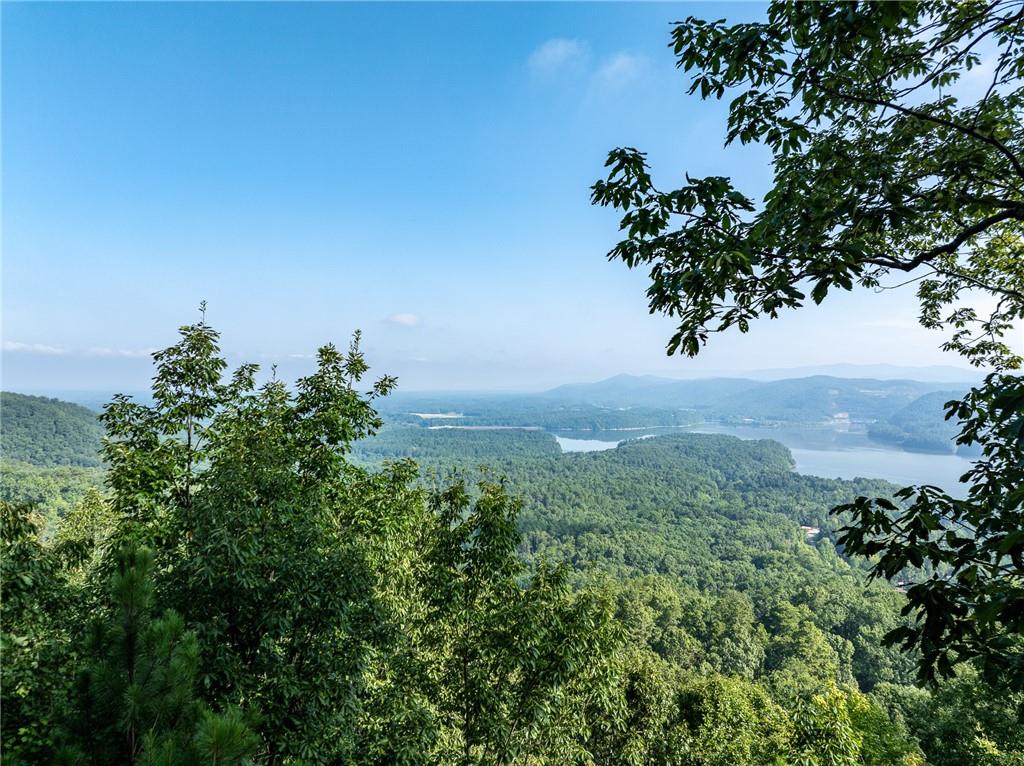 Baldview Terrace, Blairsville, Georgia image 6