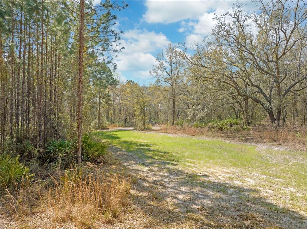 5466 Old Field Cemetery Road, Baxley, Georgia image 32