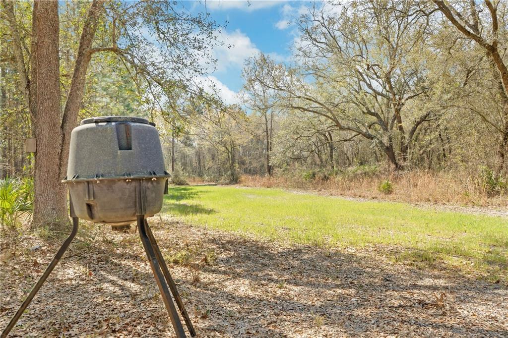 5466 Old Field Cemetery Road, Baxley, Georgia image 30