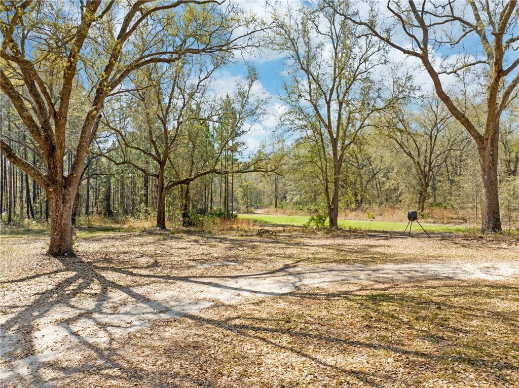 5466 Old Field Cemetery Road, Baxley, Georgia image 31