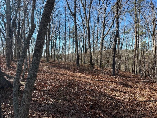 ADDRESS PRIVATE, DAWSONVILLE, GA  - Image eecb86fb62a0e15a1e2107f6d774c1ad/4059080666