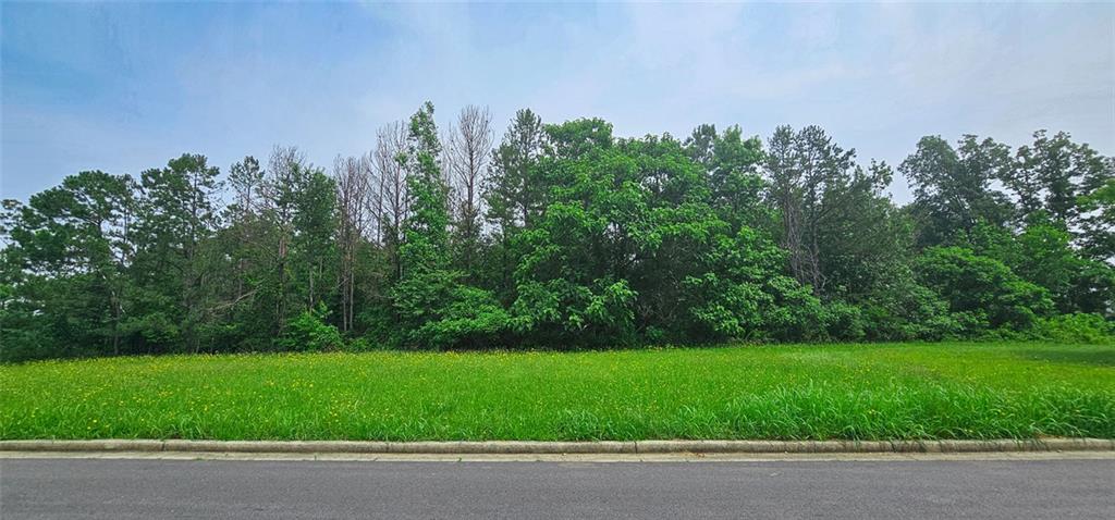 28 Ridgeline Way, Cartersville, Georgia image 14