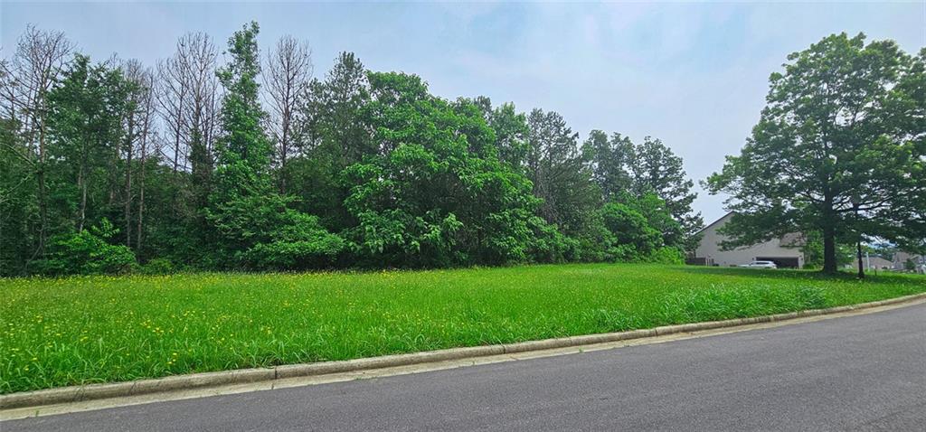 28 Ridgeline Way, Cartersville, Georgia image 10
