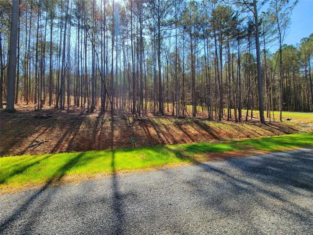277 Mountaingate Way, Ellijay, Georgia image 21