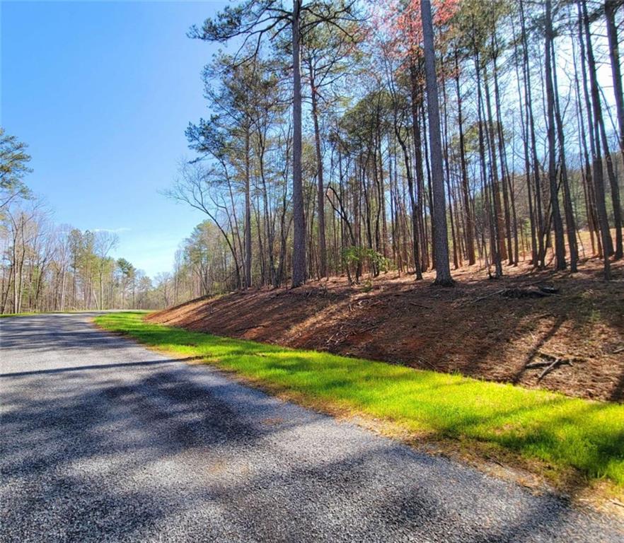 277 Mountaingate Way, Ellijay, Georgia image 14