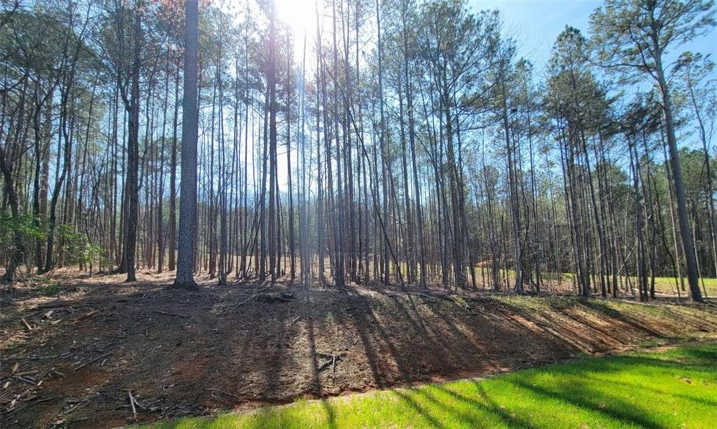 277 Mountaingate Way, Ellijay, Georgia image 24