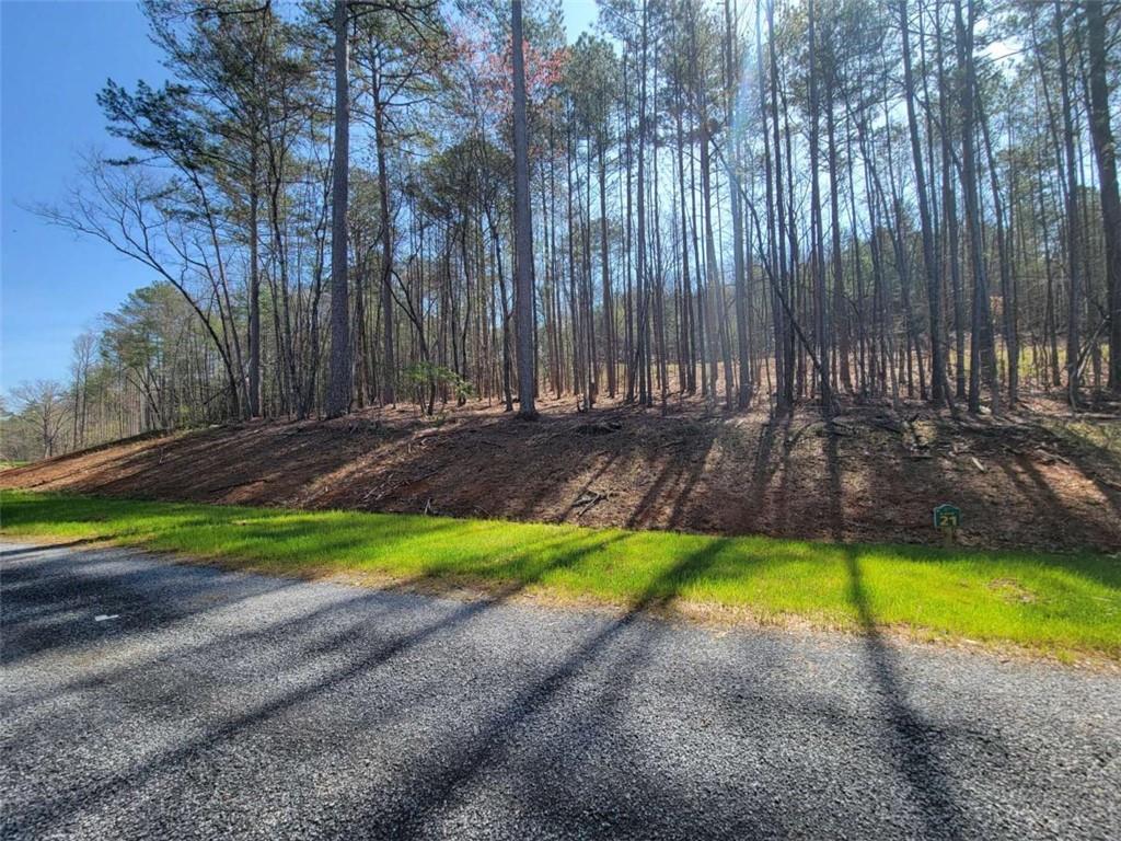 277 Mountaingate Way, Ellijay, Georgia image 23
