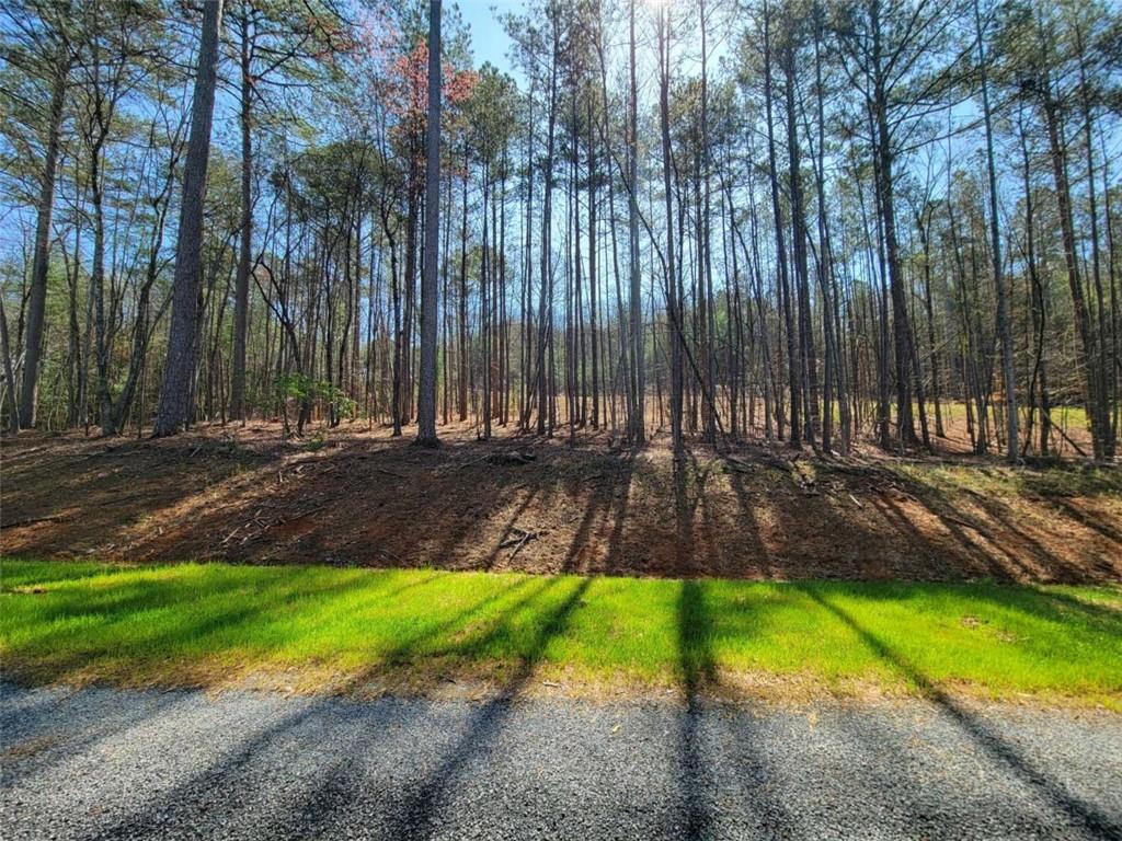277 Mountaingate Way, Ellijay, Georgia image 15