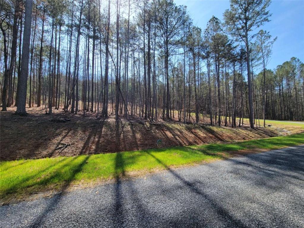 277 Mountaingate Way, Ellijay, Georgia image 10