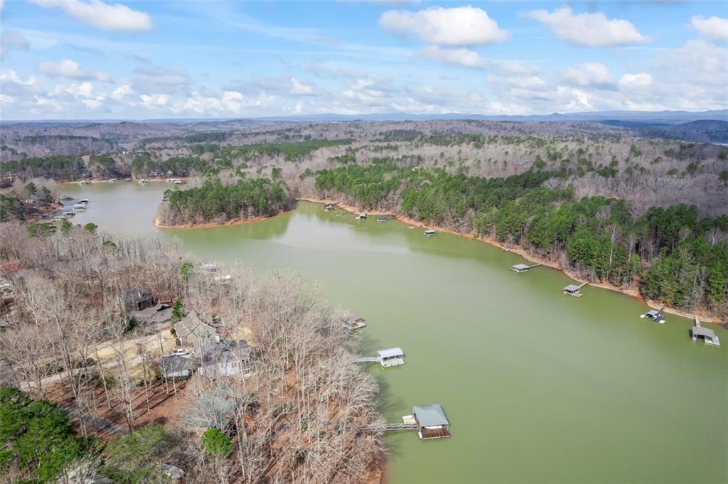 173 River Ridge Road, Martin, Georgia image 47