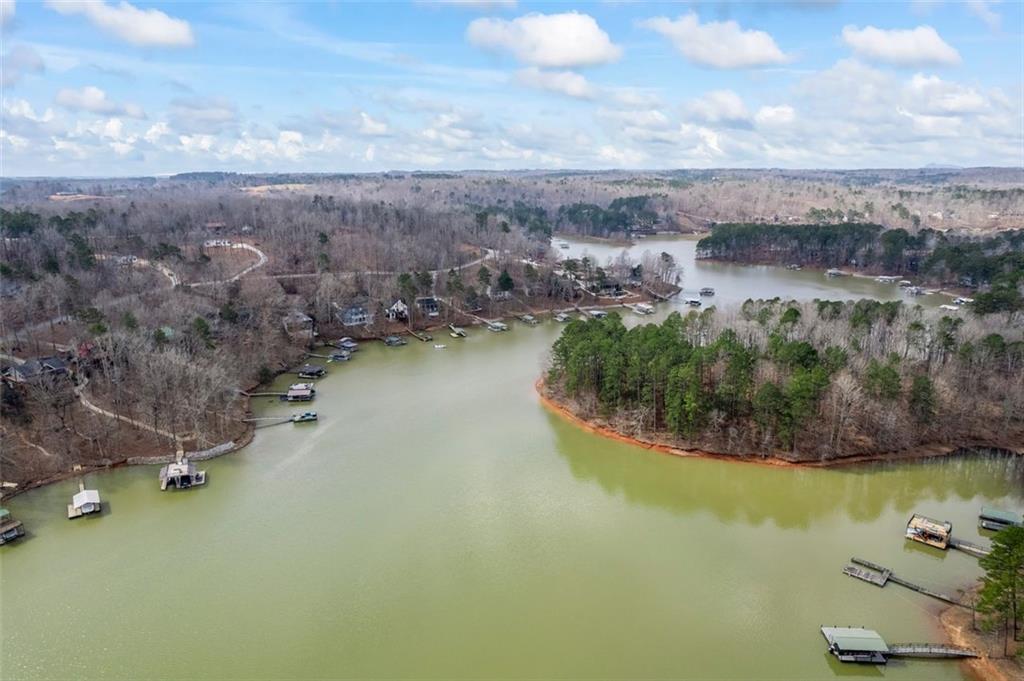 173 River Ridge Road, Martin, Georgia image 49