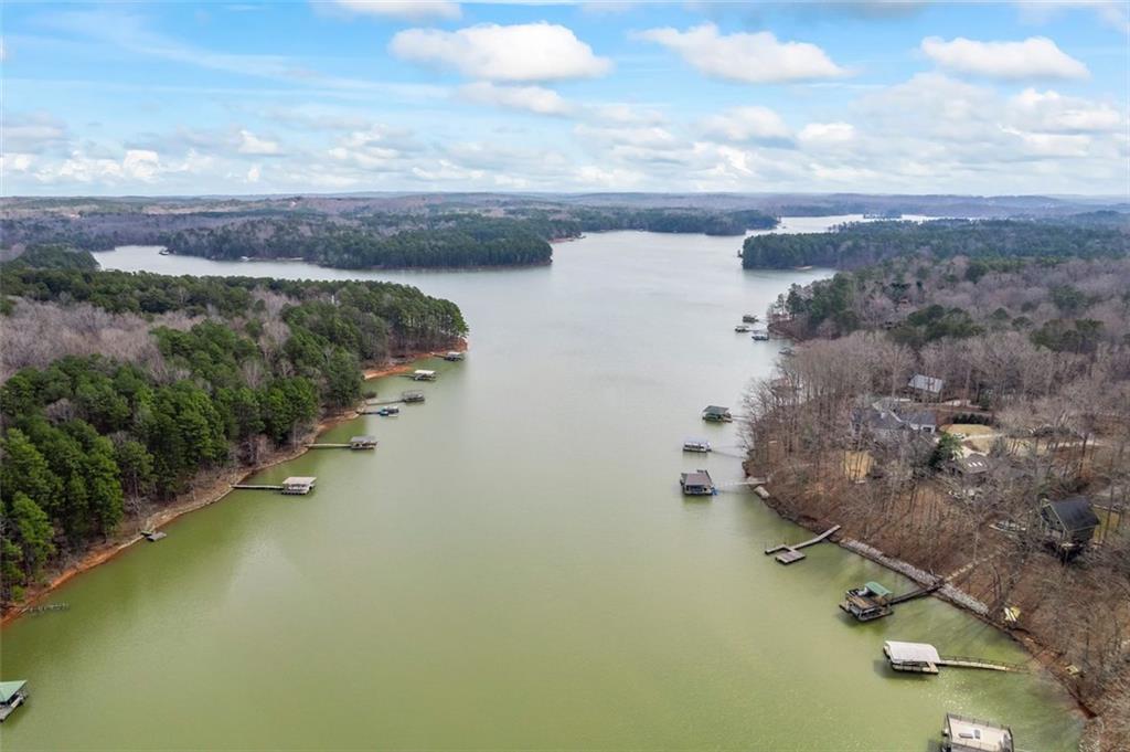 173 River Ridge Road, Martin, Georgia image 45