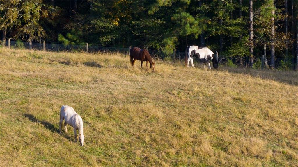 62 Acre Private Farm - Residential