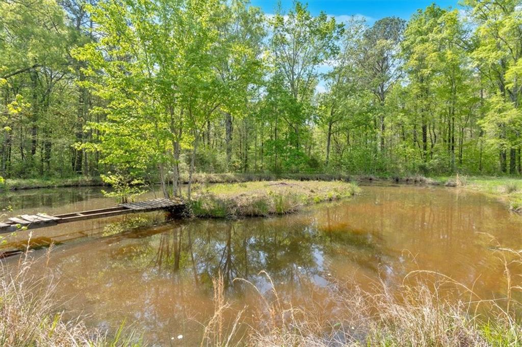255 Jones Road, Chatsworth, Georgia image 42