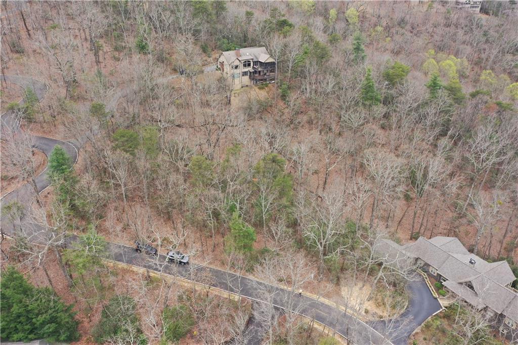 1183 Mcelroy Mountain Drive, Big Canoe, Georgia image 8