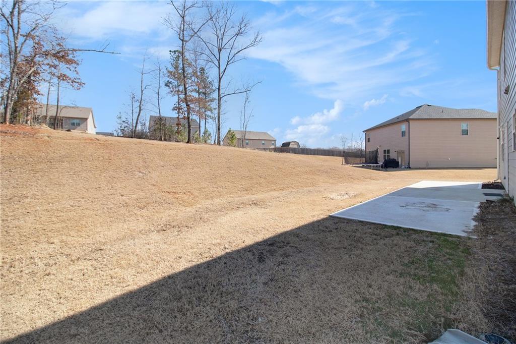 159 Blossom Wood Drive, Senoia, Georgia image 29