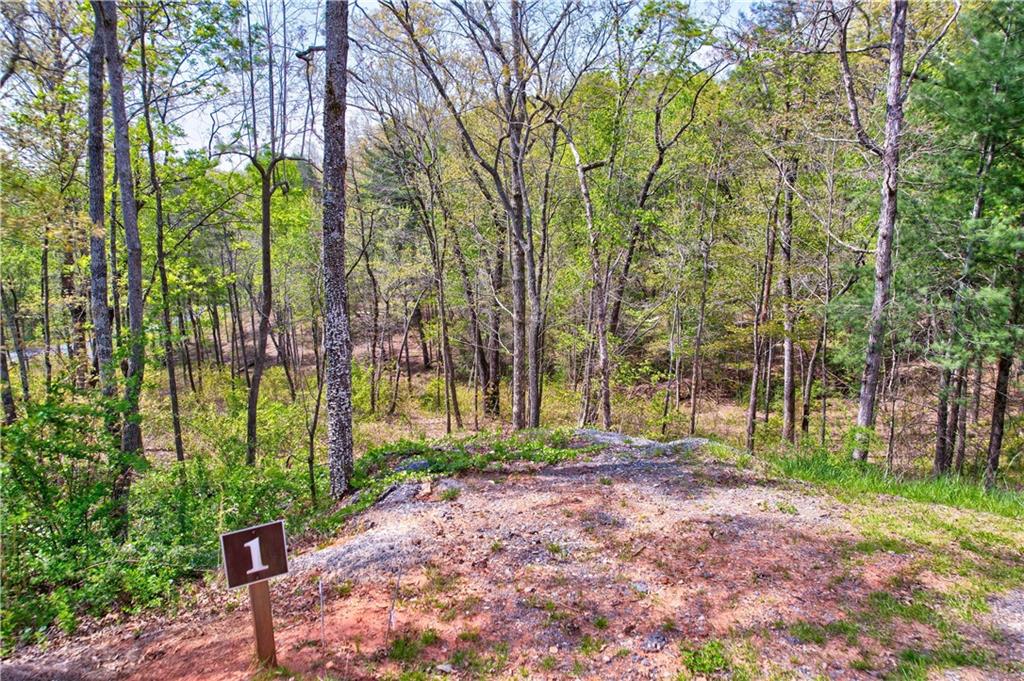 Lot #1 Jakes Landing Way, Ellijay, Georgia image 7