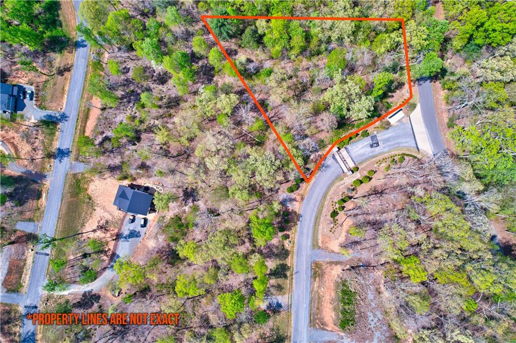Lot #1 Jakes Landing Way, Ellijay, Georgia image 11