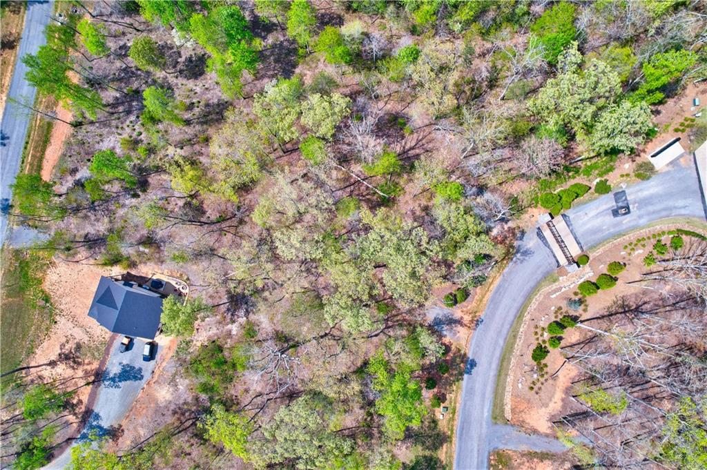 Lot #1 Jakes Landing Way, Ellijay, Georgia image 12