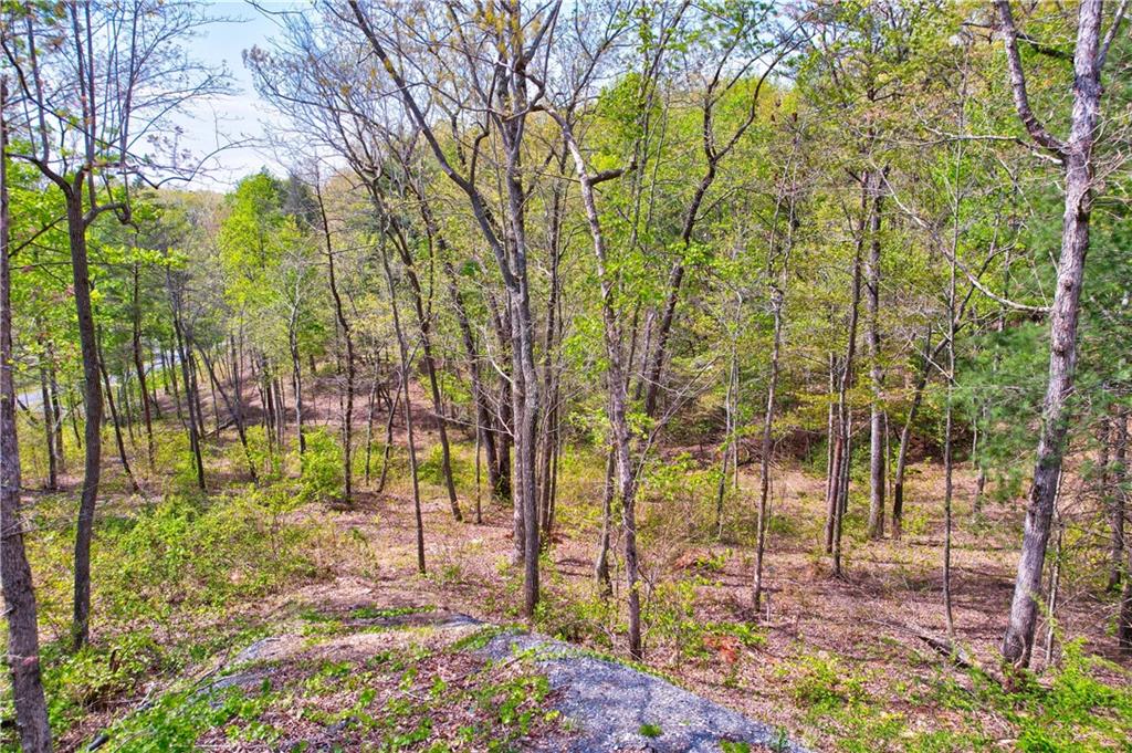 Lot #1 Jakes Landing Way, Ellijay, Georgia image 8