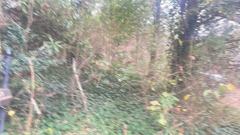 1139 Mcconnell Drive Decatur GA 30033