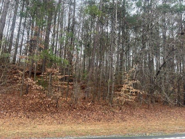 Cascade Palmetto Highway, South Fulton, Georgia image 2
