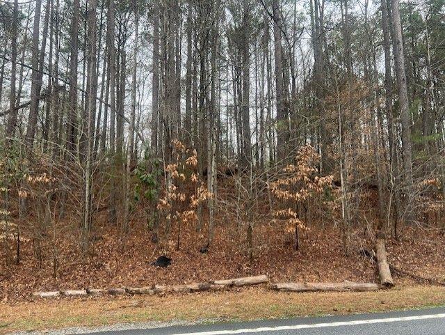 Cascade Palmetto Highway, South Fulton, Georgia image 3