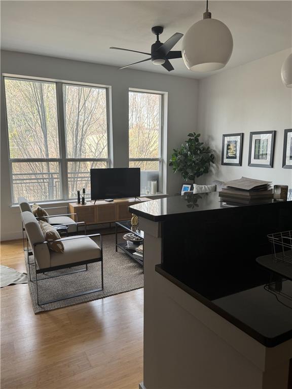 747 Ralph McGill Boulevard 225