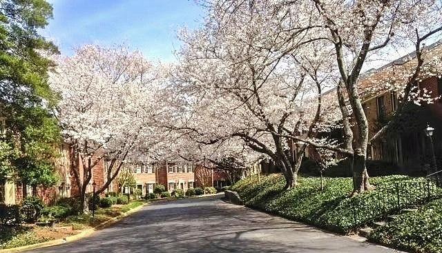 3050 Margaret Mitchell Drive NW 20