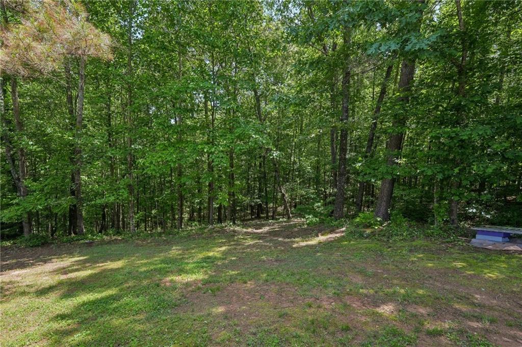 320 Moorings Run, Jasper, Georgia image 45