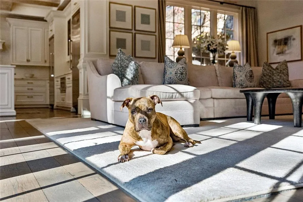 Atlanta, Georgia 30327, United States, 5 Bedrooms Bedrooms, ,7 BathroomsBathrooms,Residential,Active,250045