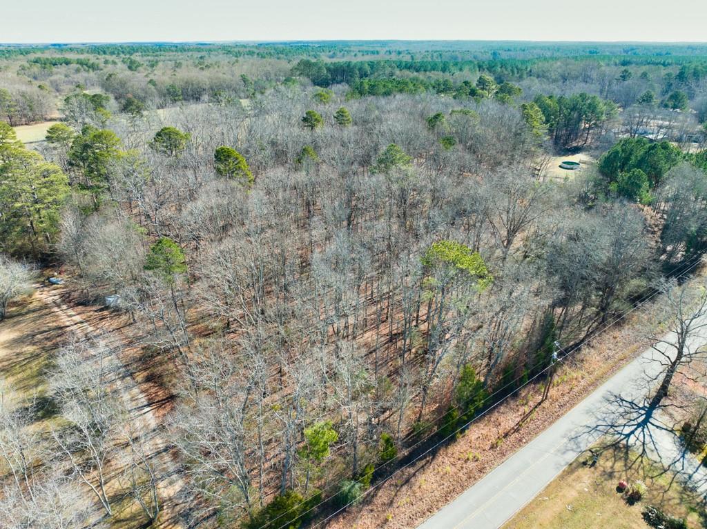 Bethany Church Tract 2 Road, Monroe, Georgia image 3