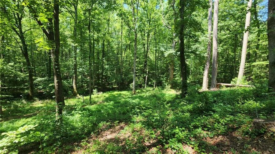 Tucked away on a serene and private 1.46-acre lot in Dawsonville, this basement home is bursting with potential and opportunity. Whether you're an investor seeking your next project or a buyer dreaming of building your own retreat, this property delivers. With no HOA and seller already cleared some portion of the lot, the stage is set for a fresh start—renovate the existing 2-bedroom, 1-bath home, tear it down, or design and build a custom estate. A new well and pump have been installed, and the septic system has already been inspected and serviced, saving you time and money before breaking ground.
Perfectly positioned just minutes from North Georgia Premium Outlets, Dawson Crossroads Shopping Center, and a variety of restaurants and grocery stores, you'll enjoy both convenience and seclusion. Nature lovers will fall in love with nearby Edge of the World Trail, the newly opened Styles Park, and Amicalola Falls State Park—home to Georgia’s tallest waterfall and a gateway to the Appalachian Trail. Access to healthcare is seamless with Northside Family Medicine, Medical Plaza 1, and Northside Hospital Forsyth all within easy reach. The area is experiencing significant growth, with numerous new construction subdivisions underway.
Whether you envision a modern mountain hideaway, a weekend retreat, or your forever home in the heart of Dawson County, this property is a rare canvas where the sky is truly the limit. Sold AS-IS.