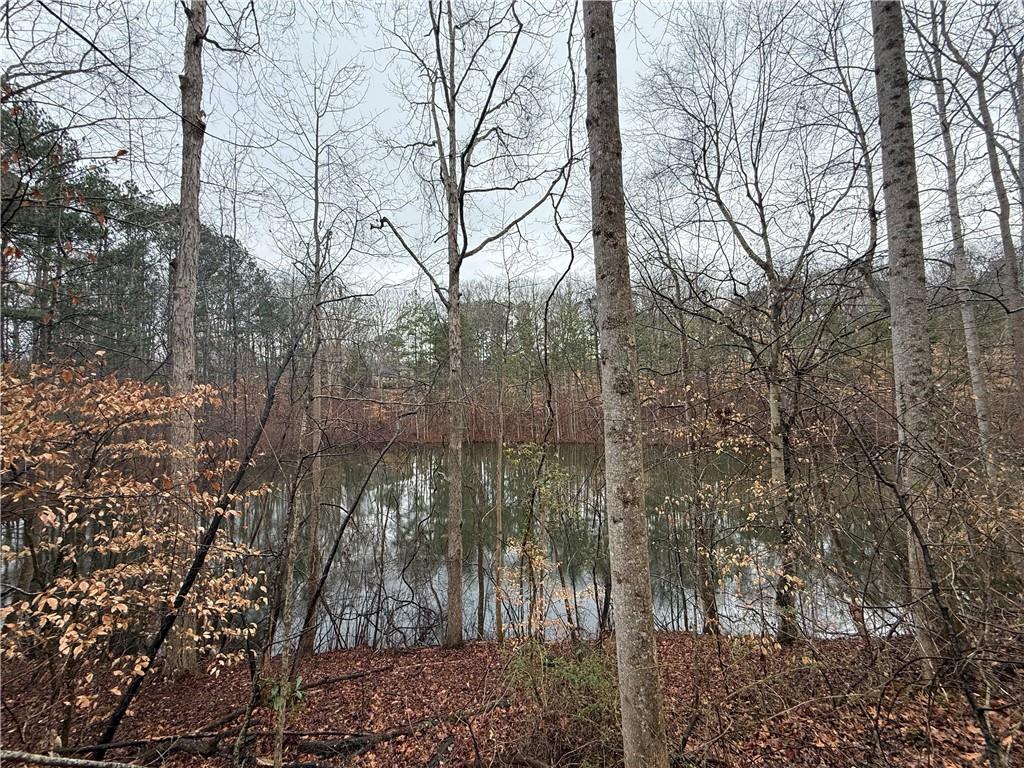 1670 Rock Springs Lane