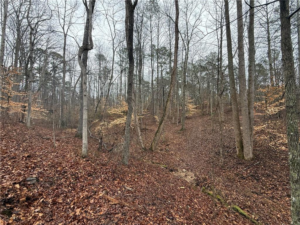 1670 Rock Springs Lane