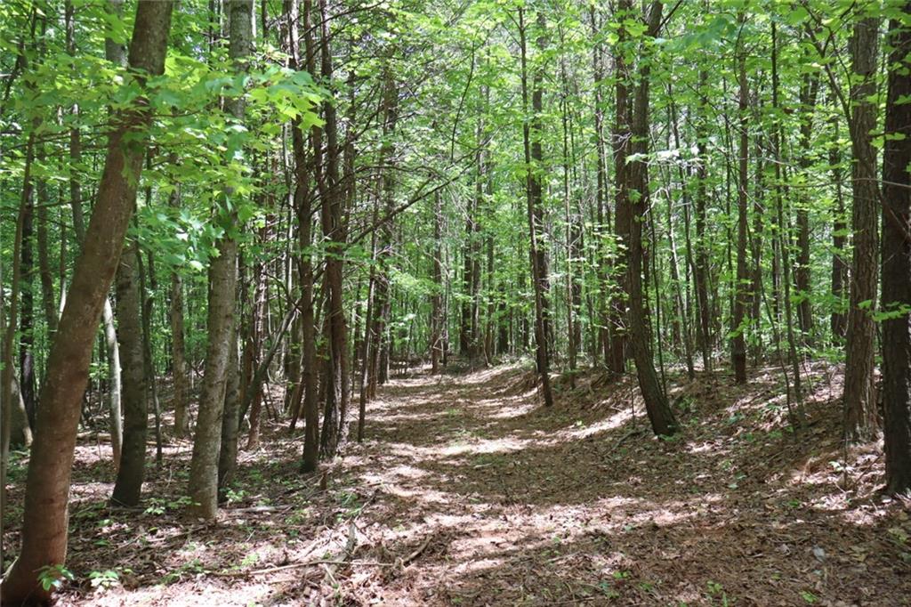 Parksbrook Road A, Ellijay, Georgia image 18