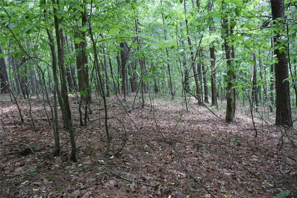 Parksbrook Road A, Ellijay, Georgia image 1