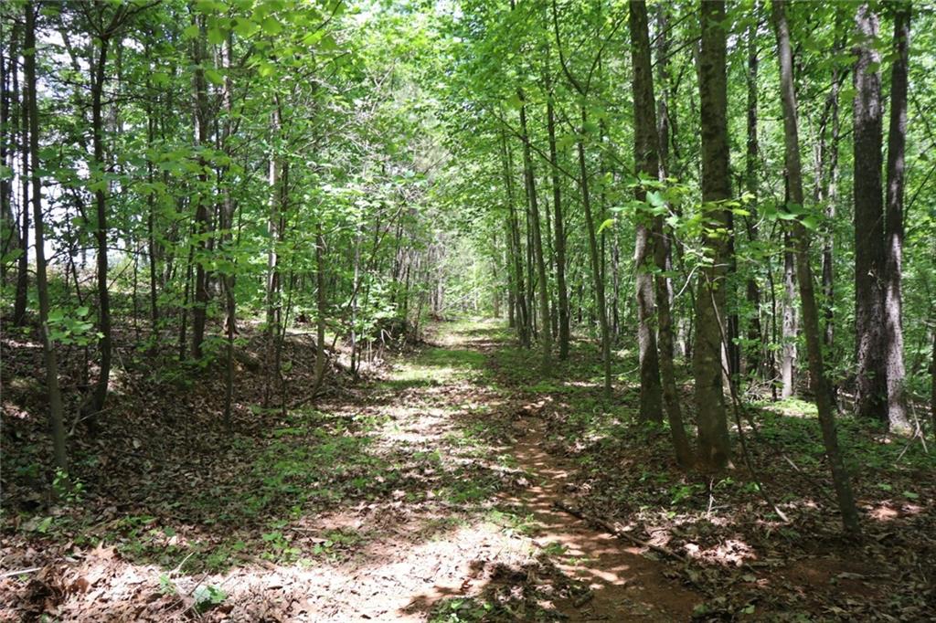 Parksbrook Road A, Ellijay, Georgia image 17