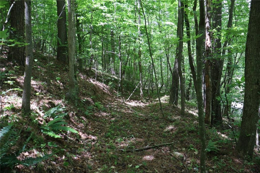 Parksbrook Road A, Ellijay, Georgia image 9