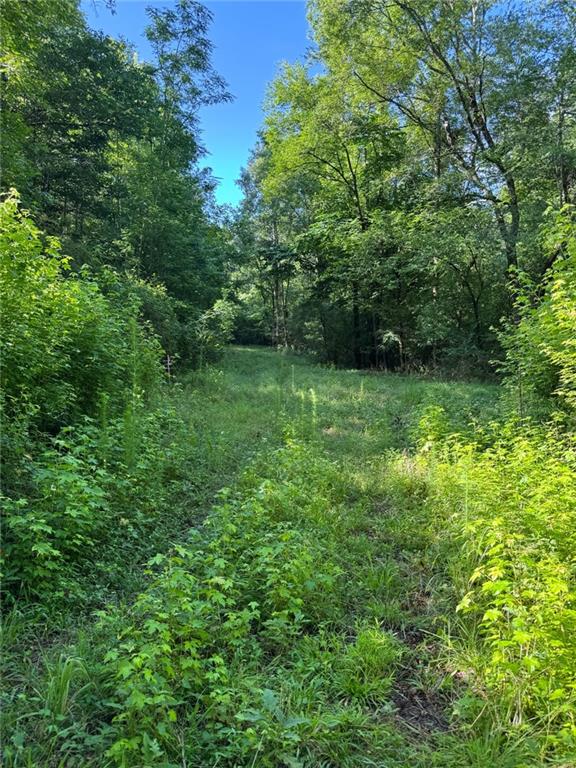 0 Saffold Road